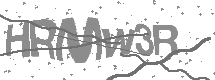 visual captcha